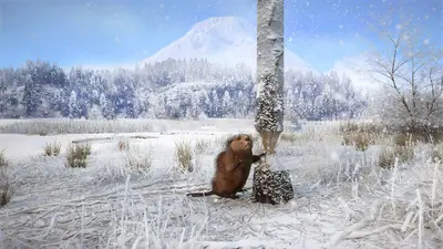 theHunter: Call of the Wild™ - Alberta Hunting Preserve  for sale in Emirates from Games2all