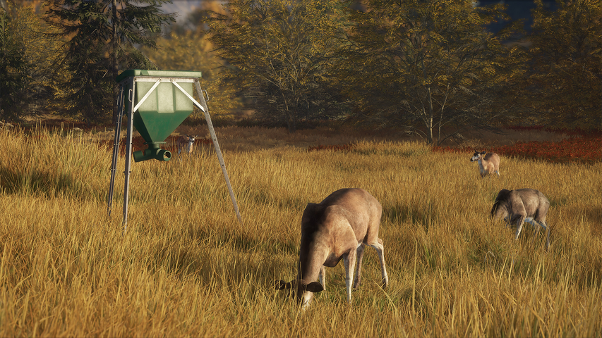 theHunter: Call of the Wild™ - Game Feeder Pack – image 2
