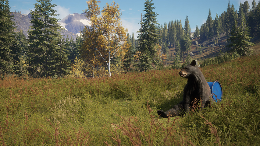 theHunter: Call of the Wild™ - Game Feeder Pack – image 5