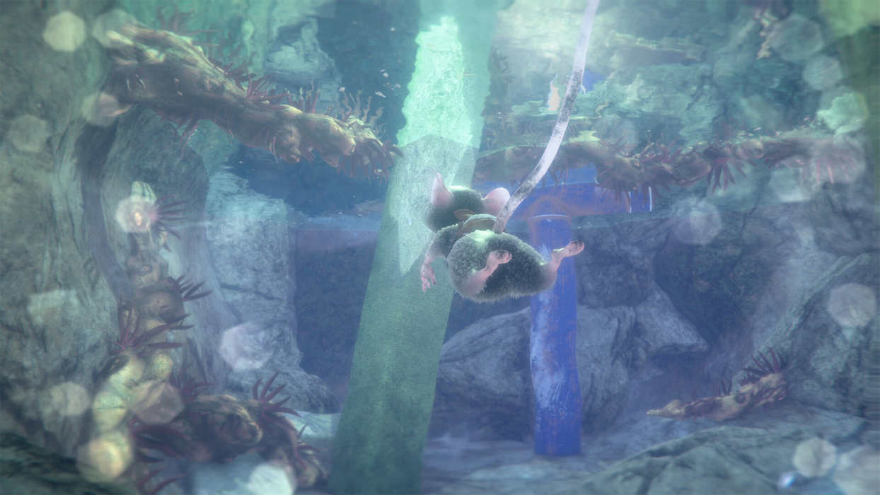   for sale in Emirates from Games2all