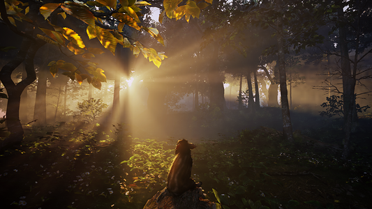   for sale in Emirates from Games2all