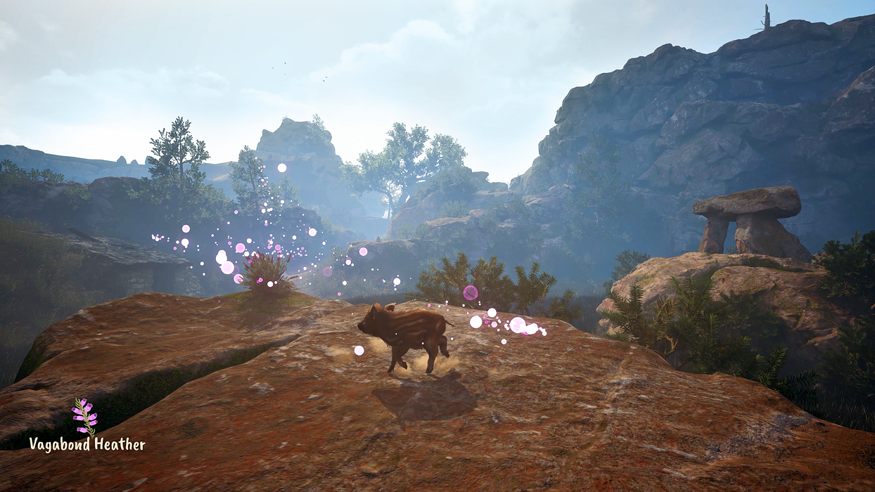   for sale in Emirates from Games2all