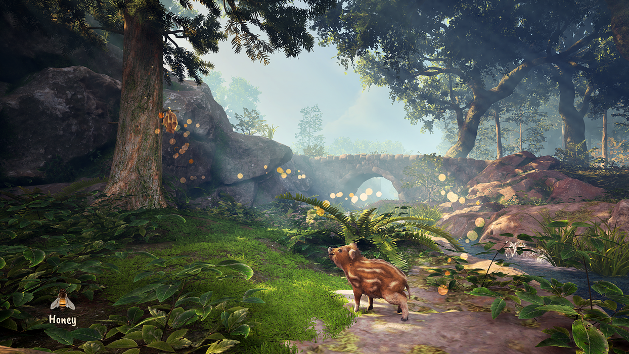   for sale in Emirates from Games2all