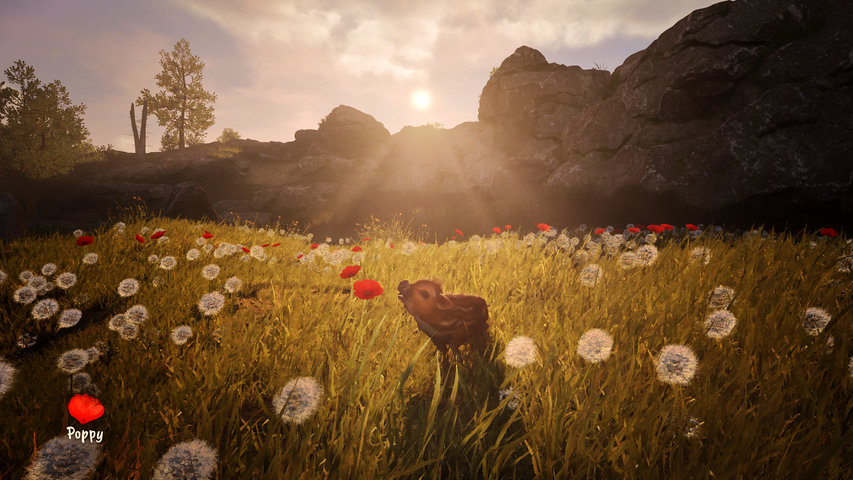 Adorable Adventures – image 8