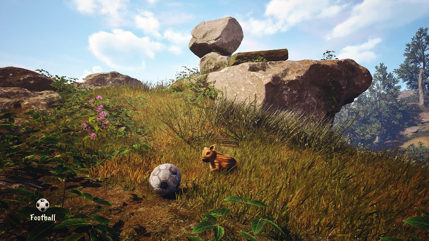 Adorable Adventures – image 10