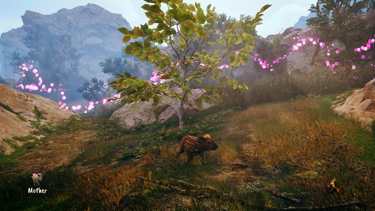   for sale in Emirates from Games2all