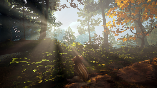   for sale in Emirates from Games2all