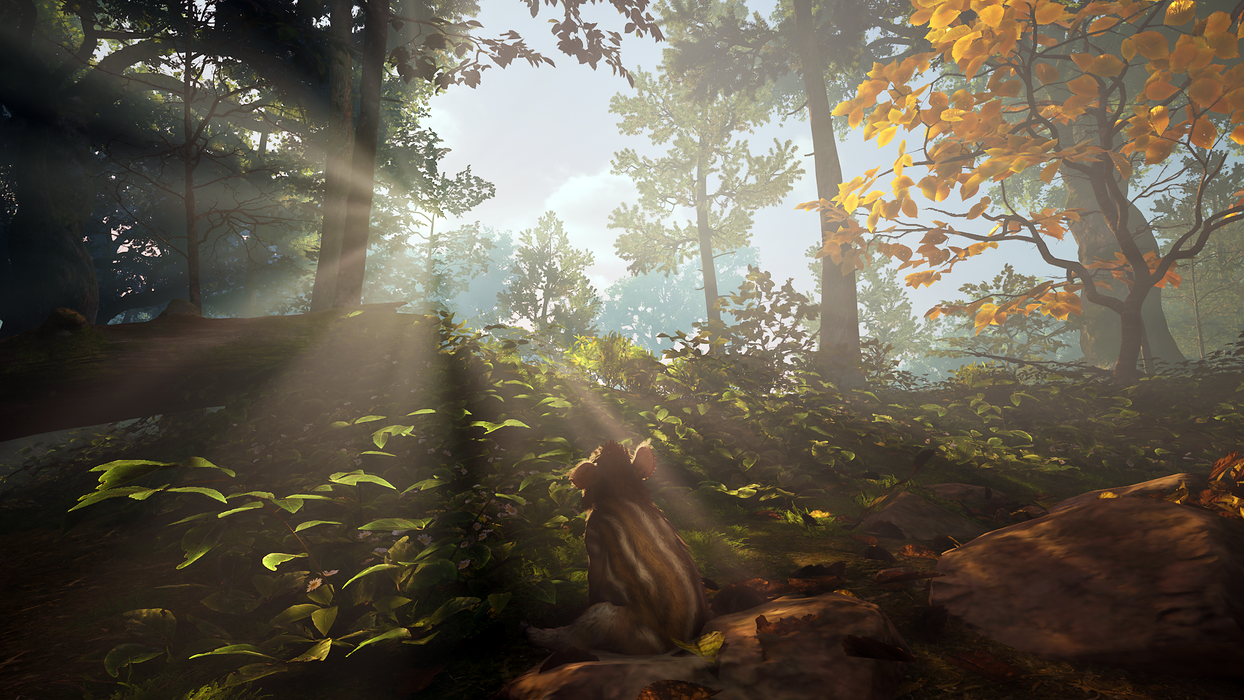   for sale in Emirates from Games2all