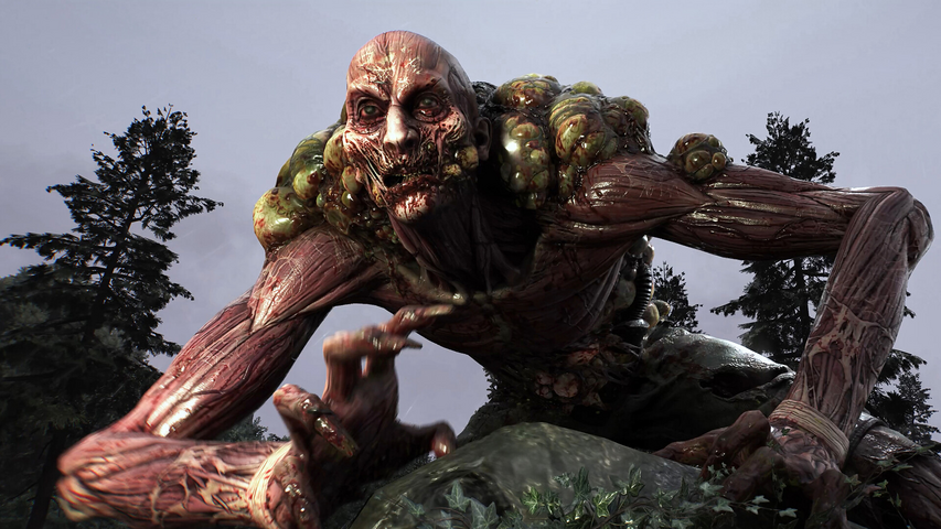 Dying Light: The Beast – image 5