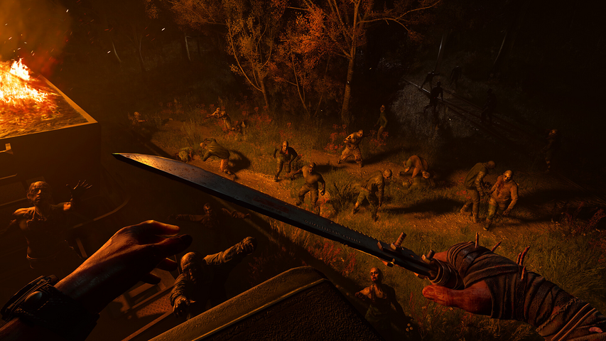Dying Light: The Beast – image 7