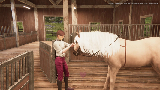My Horse: Bonded Spirits  for sale in Emirates from Games2all
