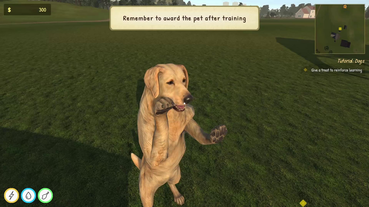 Animal Trainer Simulator  for sale in Emirates from Games2all