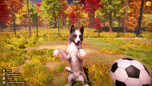 Animal Shelter 2  for sale in Emirates from Games2all