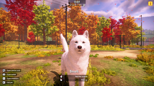 Animal Shelter 2  for sale in Emirates from Games2all