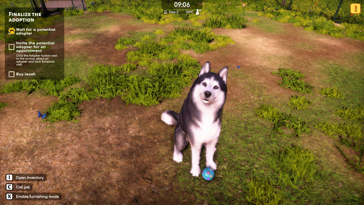 Animal Shelter 2  for sale in Emirates from Games2all
