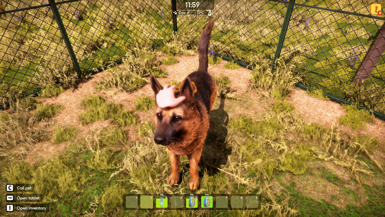 Animal Shelter 2  for sale in Emirates from Games2all