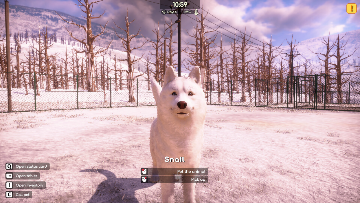 Animal Shelter 2  for sale in Emirates from Games2all