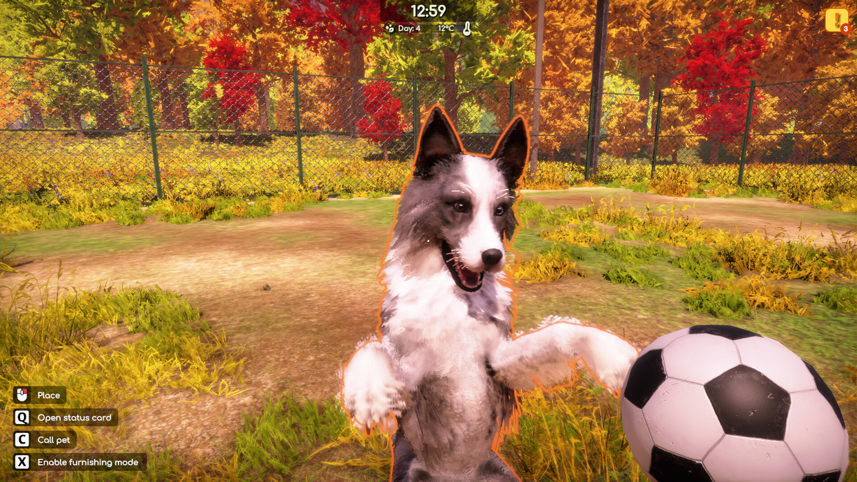Animal Shelter 2  for sale in Emirates from Games2all