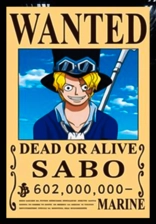 Wanted 3D Anime Poster for One Piece