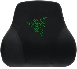كرسي جيمنج إيسكور إكس من ريزر - أسود وأخضر