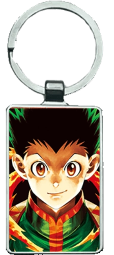 Hunter X Hunter 3D Keychain \ Medal