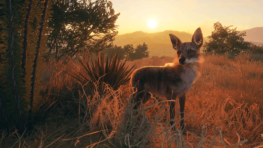 theHunter: Call of the Wild™ - Rancho del Arroyo  للبيع في ألإمارات من خلال Games2all