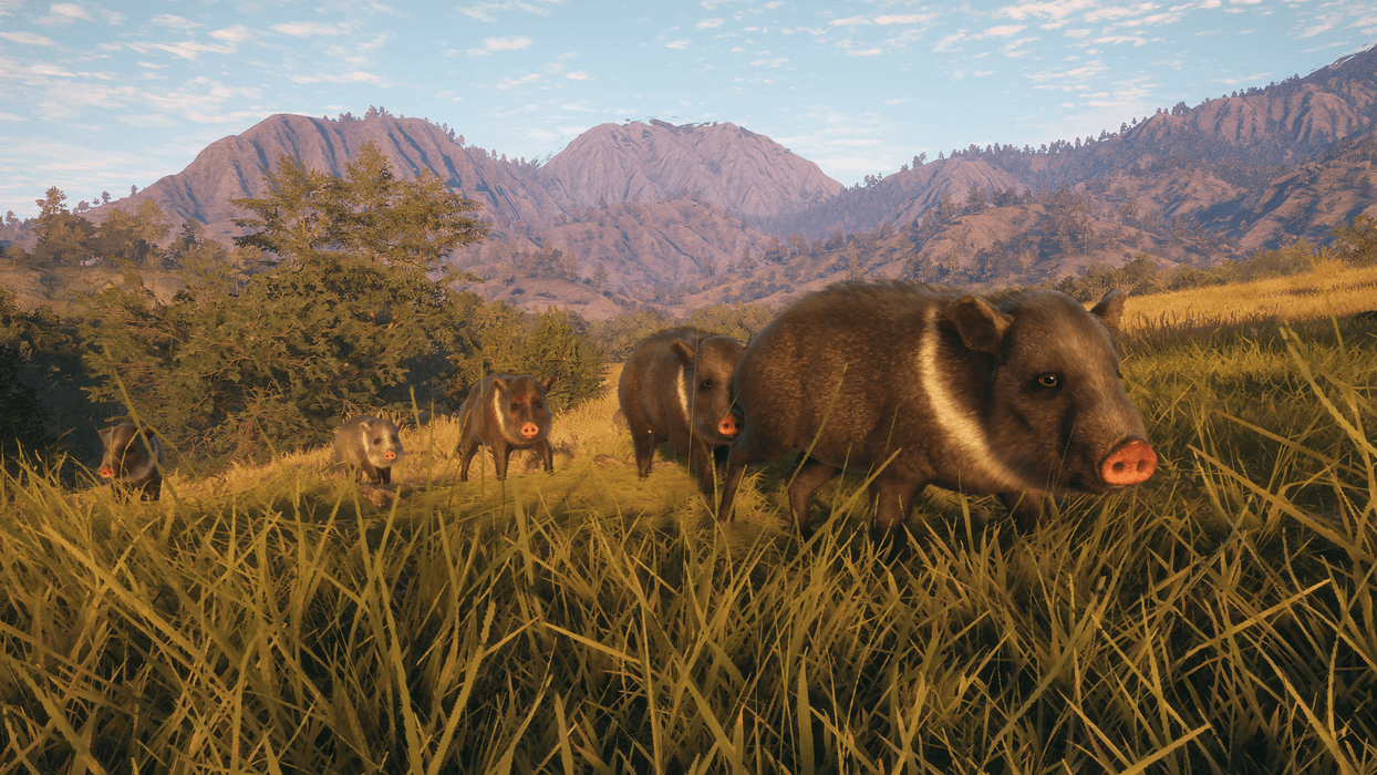 theHunter: Call of the Wild™ - Rancho del Arroyo  للبيع في ألإمارات من خلال Games2all