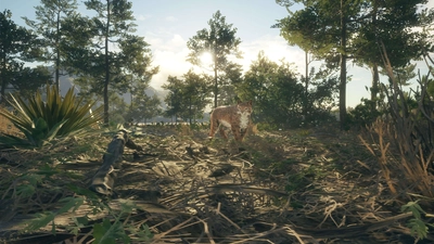 theHunter: Call of the Wild™ - Rancho del Arroyo