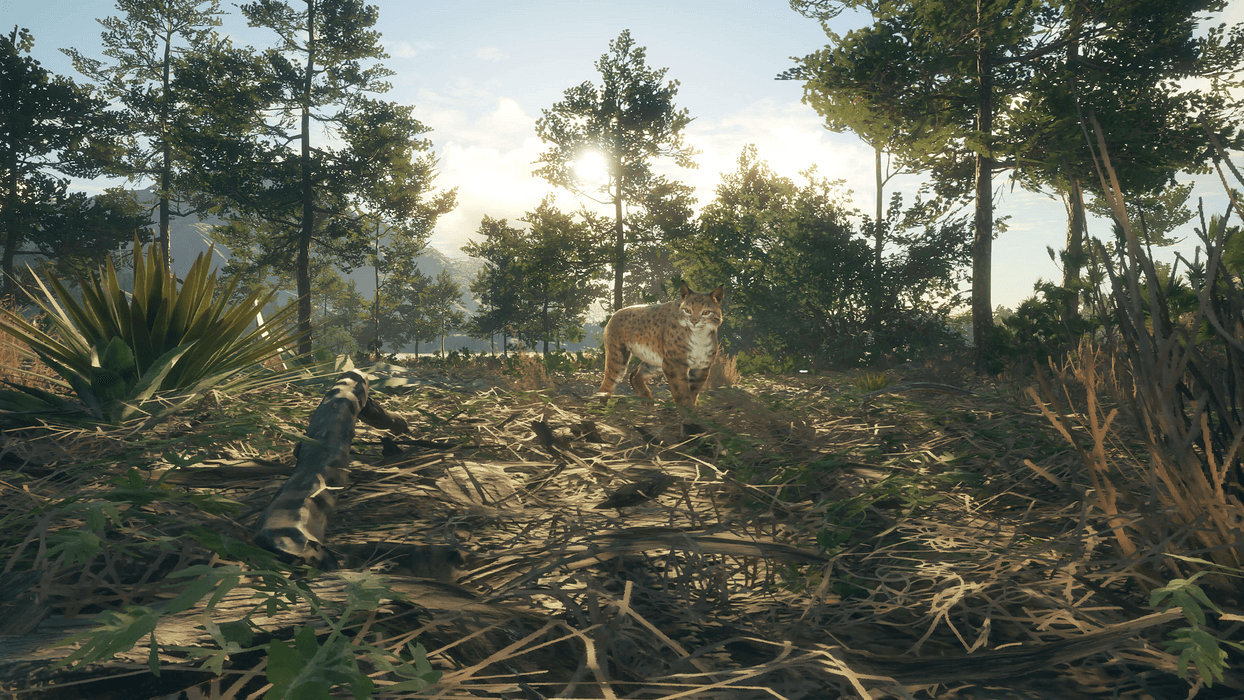 theHunter: Call of the Wild™ - Rancho del Arroyo  للبيع في ألإمارات من خلال Games2all