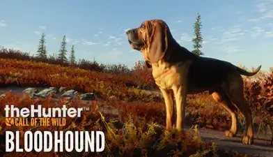 theHunter: Call of the Wild™ - Bloodhound (64647)