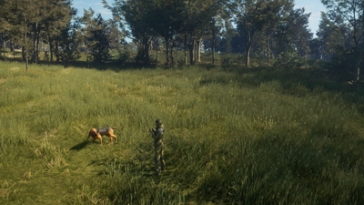 theHunter: Call of the Wild™ - Bloodhound