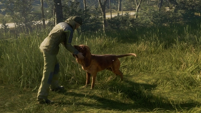 theHunter: Call of the Wild™ - Bloodhound