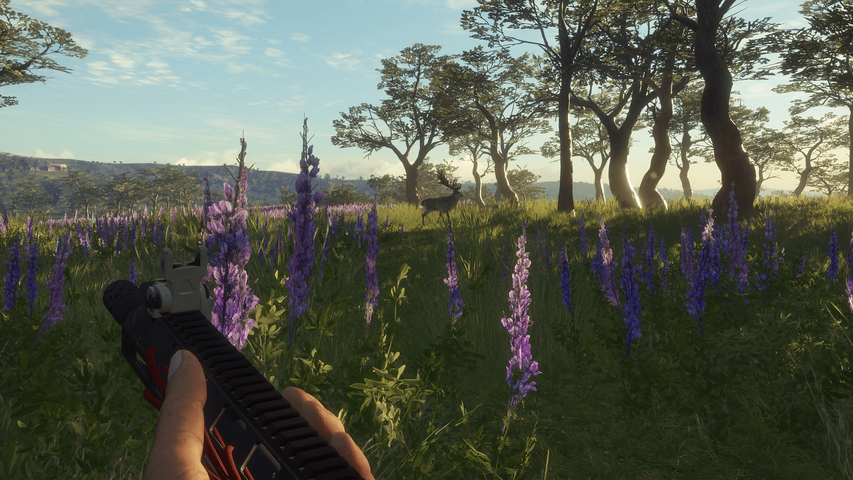 theHunter: Call of the Wild™ - Modern Rifle Pack – image 6