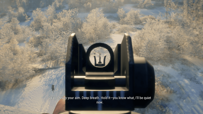 theHunter: Call of the Wild™ - Modern Rifle Pack – image 7