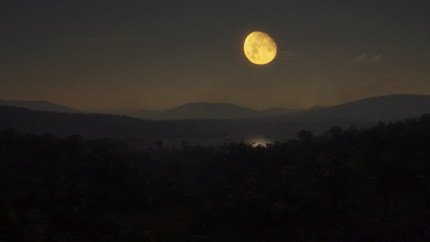 theHunter: Call of the Wild™ - Parque Fernando – image 2