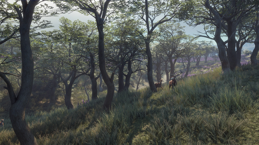 theHunter: Call of the Wild™ - Parque Fernando – image 9