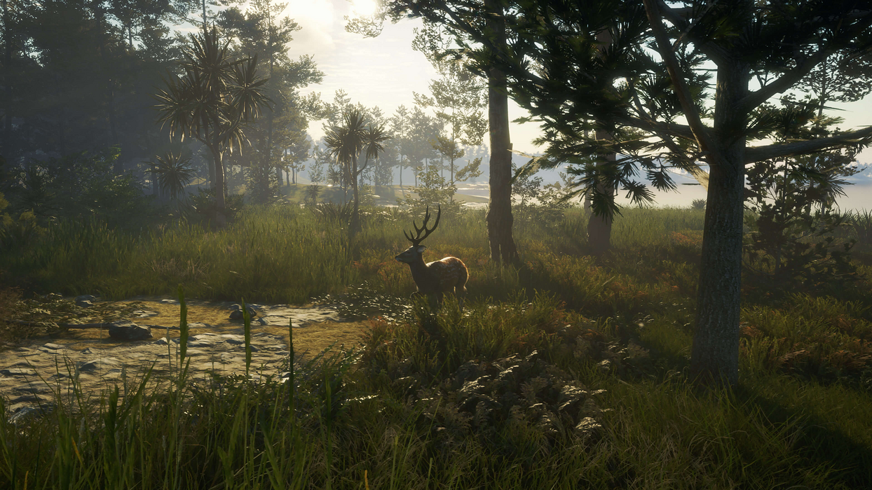 theHunter: Call of the Wild™ - Te Awaroa National Park  للبيع في ألإمارات من خلال Games2all