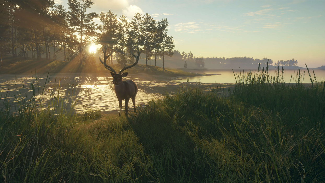 theHunter: Call of the Wild™ - Te Awaroa National Park  للبيع في ألإمارات من خلال Games2all