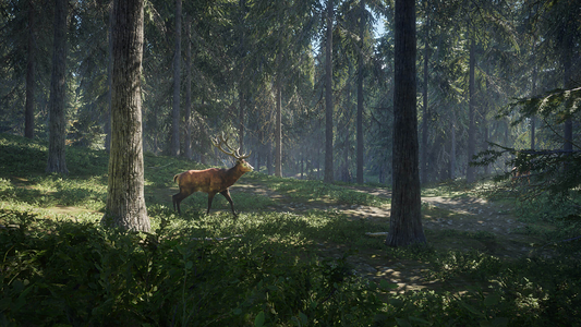 theHunter: Call of the Wild™  للبيع في ألإمارات من خلال Games2all