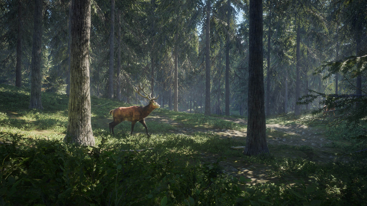 theHunter: Call of the Wild™  للبيع في ألإمارات من خلال Games2all