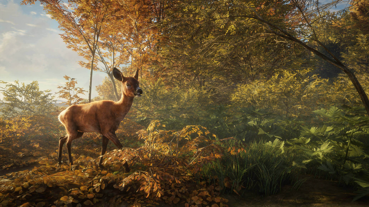theHunter: Call of the Wild™  للبيع في ألإمارات من خلال Games2all
