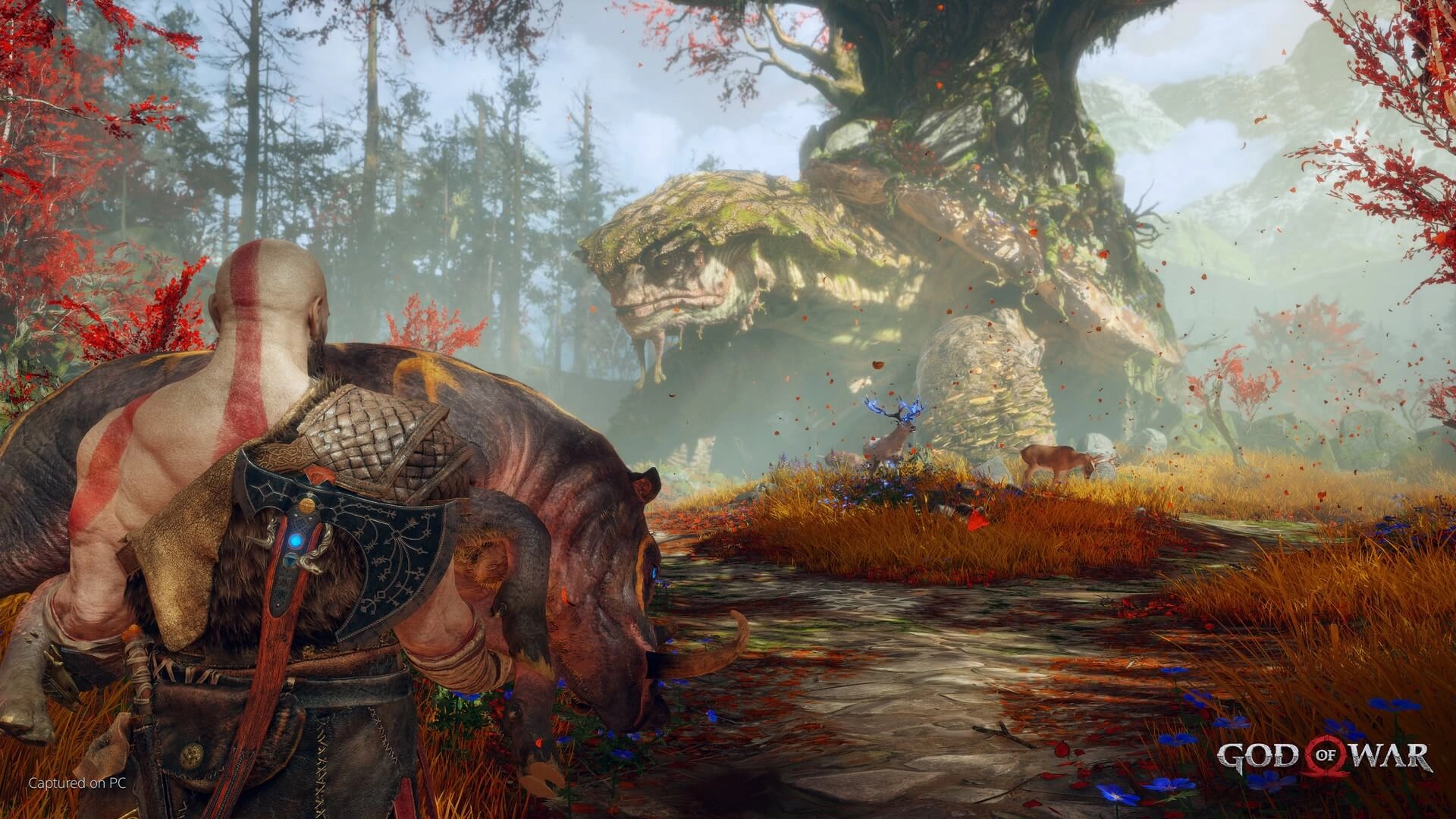 God of War  for sale in Emirates from Games2all