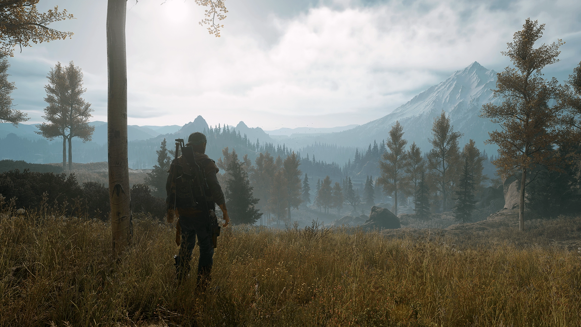 Days Gone  for sale in Emirates from Games2all