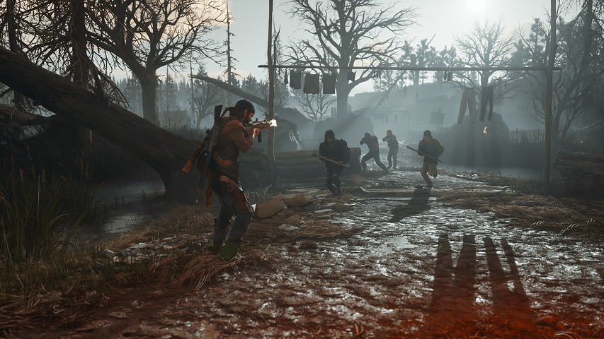 Days Gone – صورة 10
