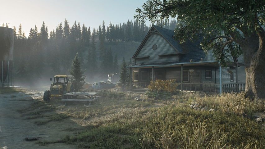 Days Gone – صورة 11