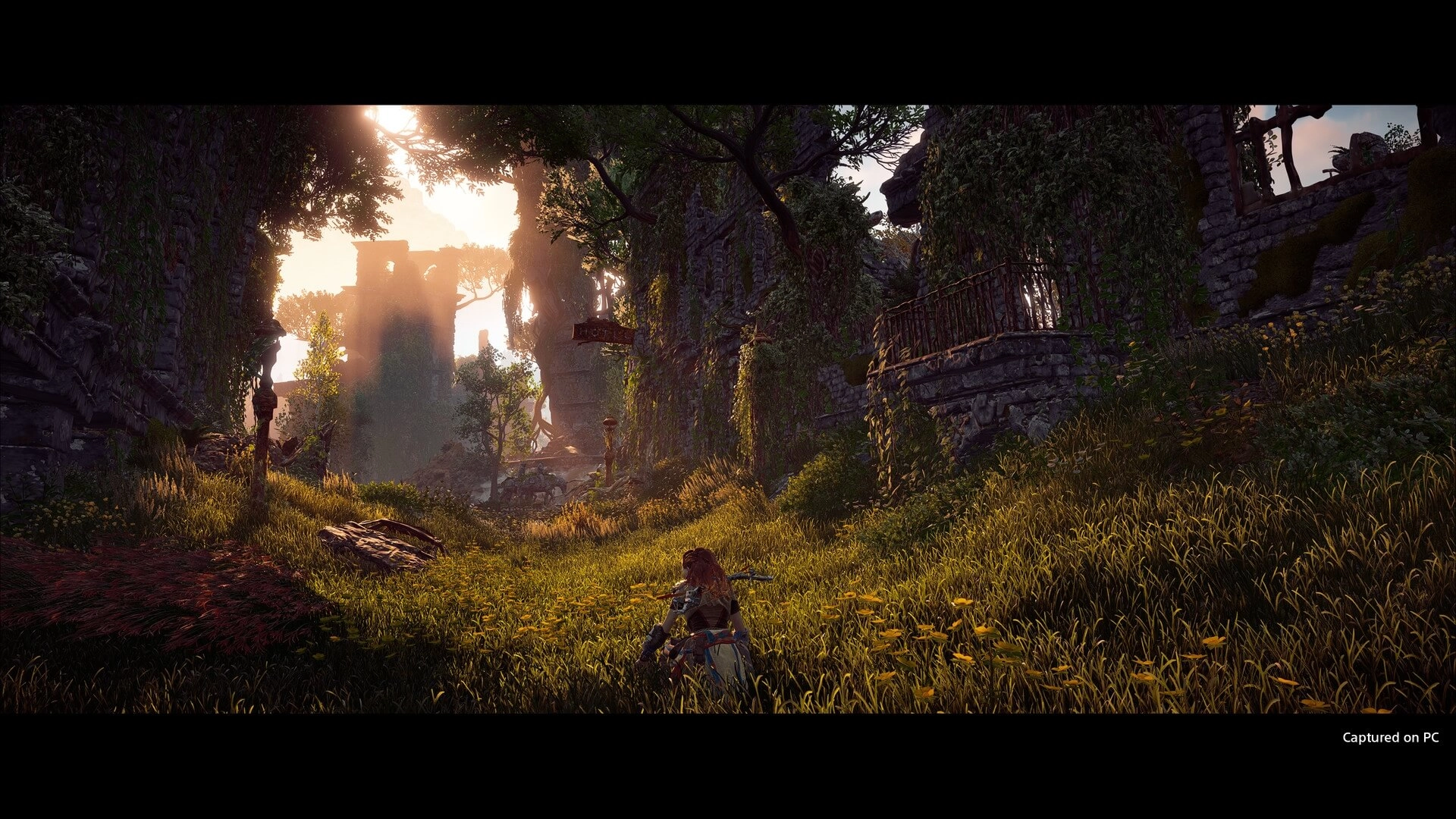 Horizon Zero Dawn™ Complete Edition  for sale in Emirates from Games2all