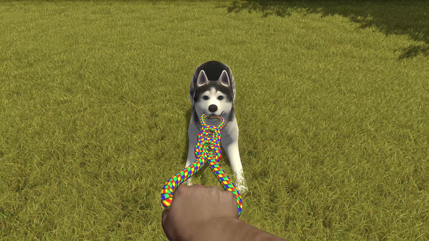 House Flipper Pets DLC – image 6