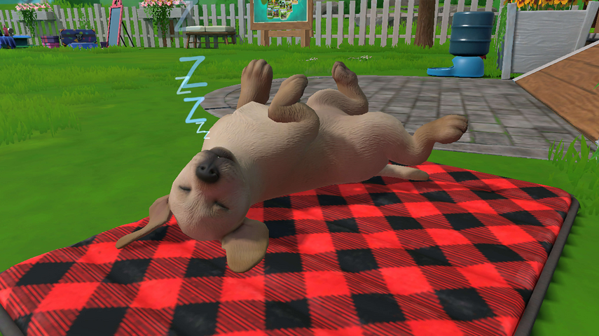 Little Friends: Puppy Island – image 10
