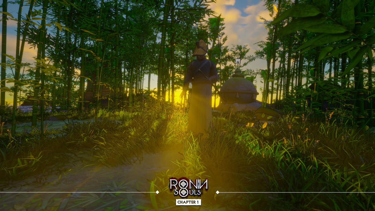 RONIN: Two Souls CHAPTER 1  for sale in Emirates from Games2all