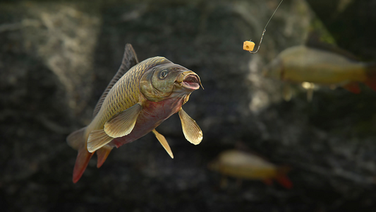 SCUM  للبيع في ألإمارات من خلال Games2all